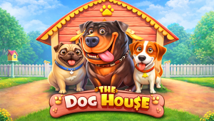 The Dog House 무료슬롯